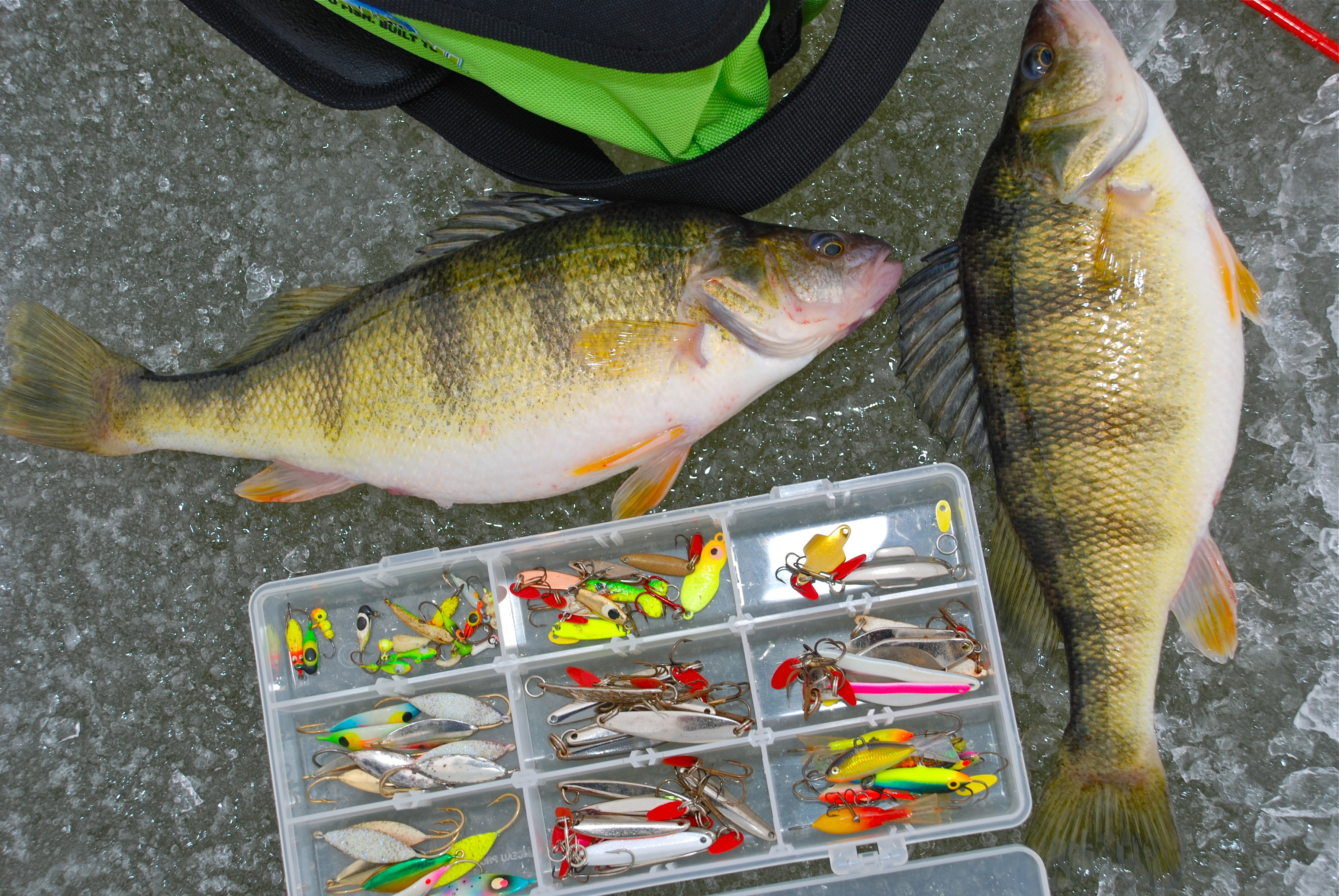 Saginaw Bay Perch Fishing / Lake Huron Fishing / Great Lakes Fishing  Michigan / How To Catch Perch 